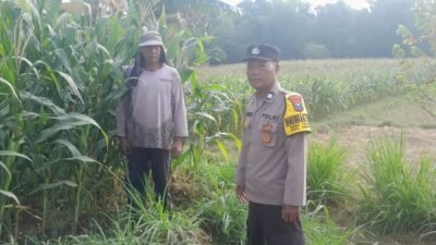 img 20260618 wa0020
