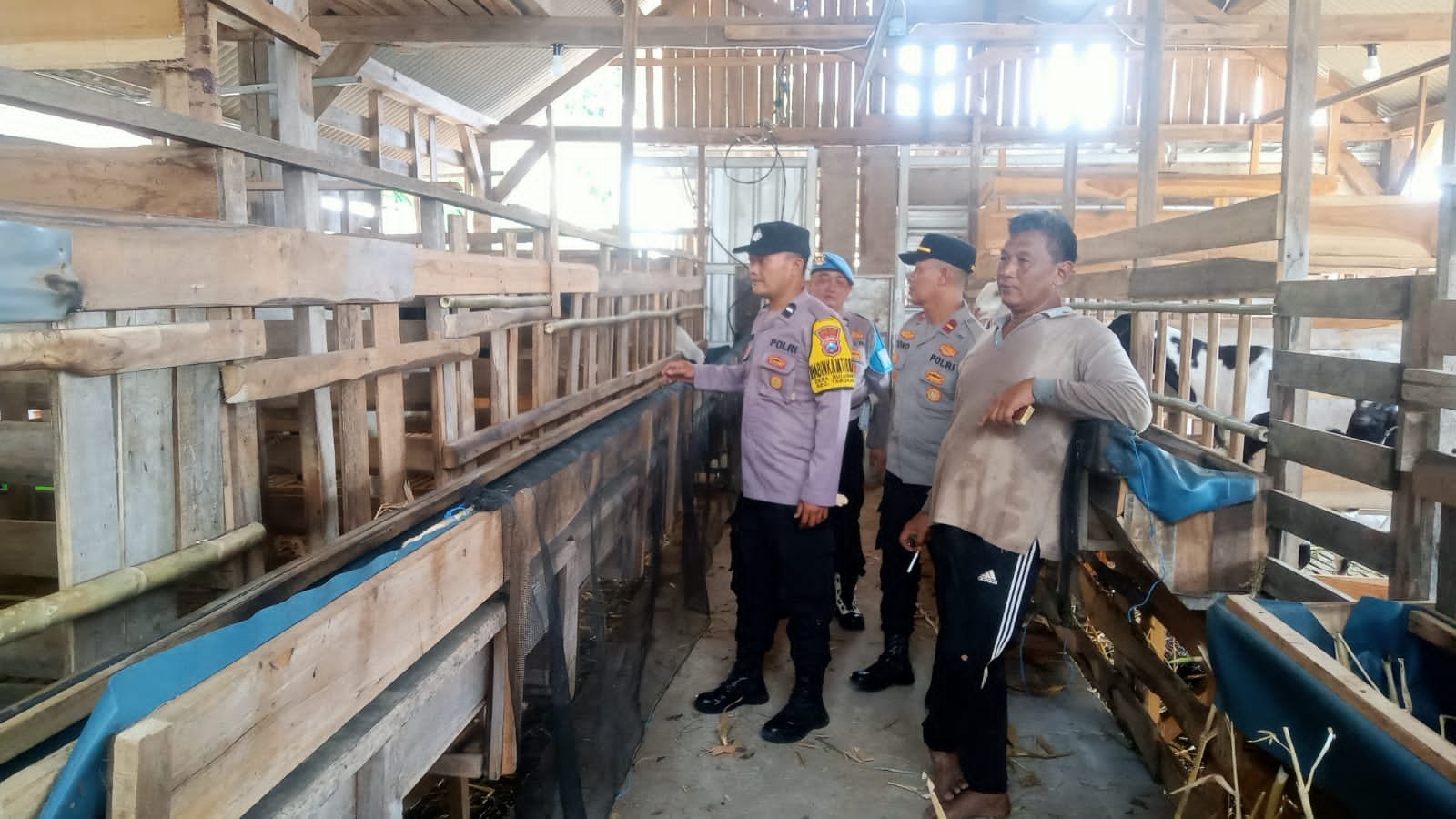 img 20260621 wa0028