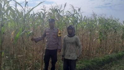 img 20260625 wa0029